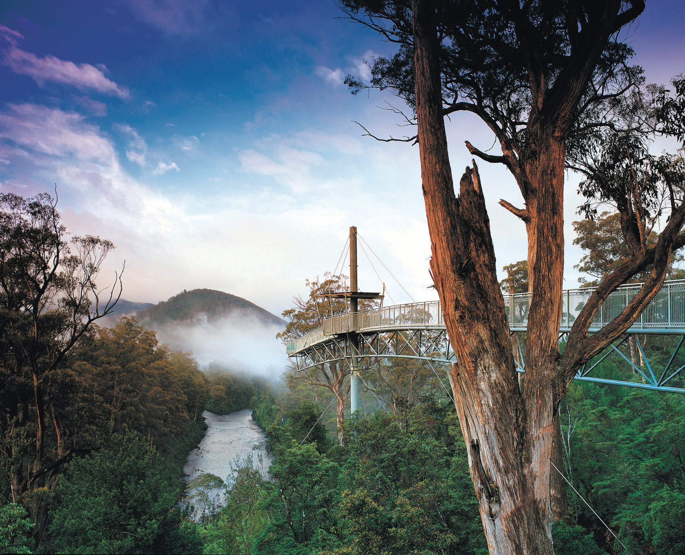 塔斯马尼亚哈斯廷斯洞穴 & 塔胡尼空中步道 & 胡恩品酒一日游