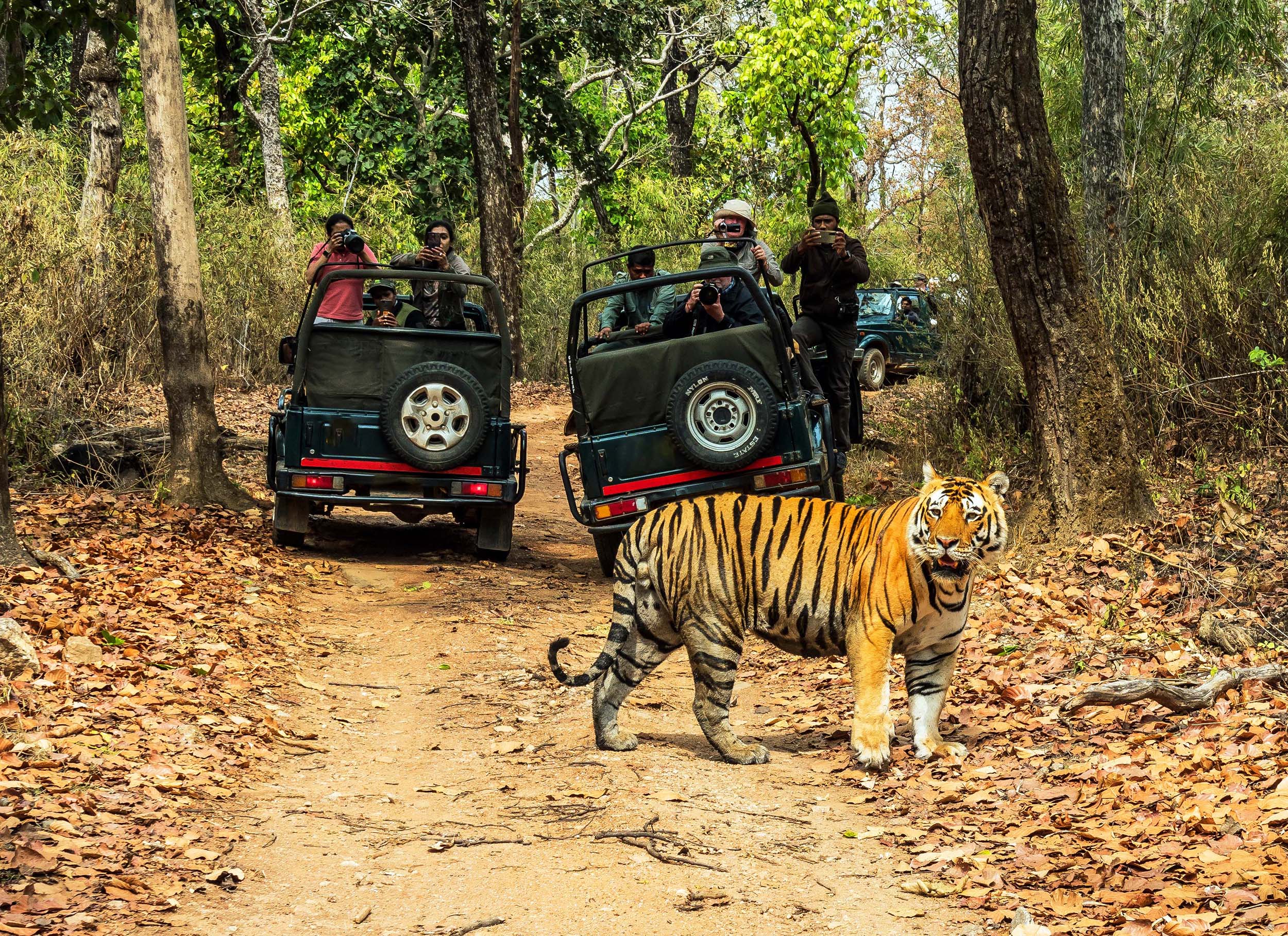 奇特旺丛林探险2 / 3 / 4日游