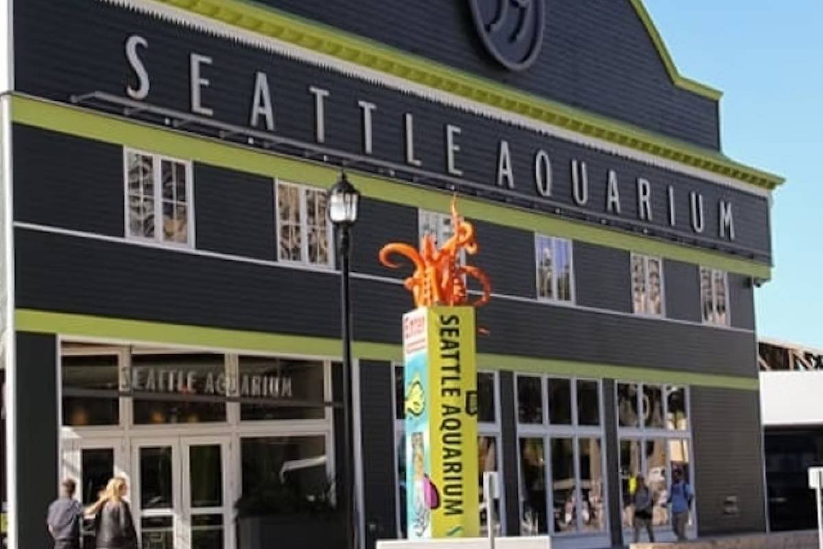 西雅图水族馆门票