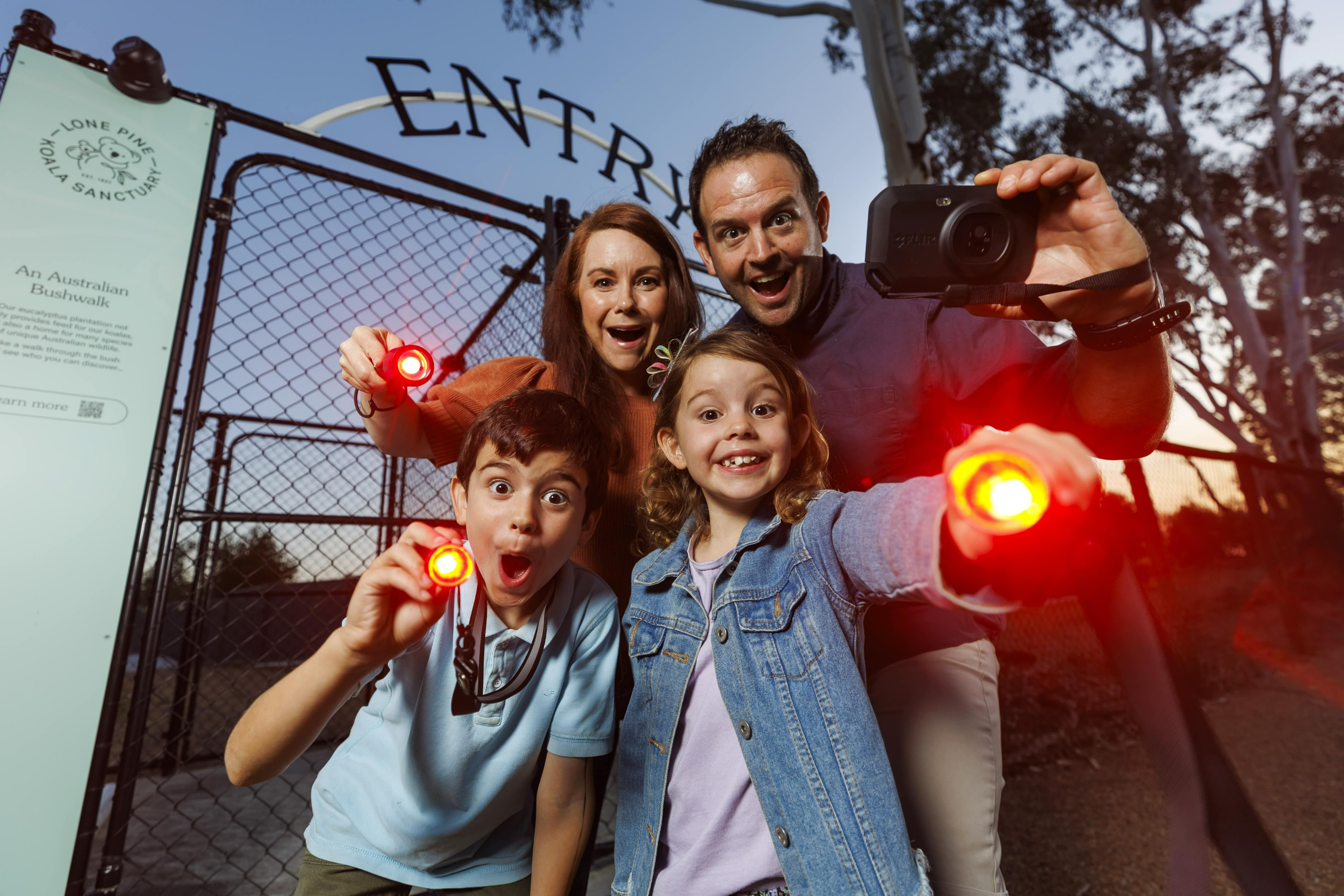 龙柏无尾熊动物园夜间导览