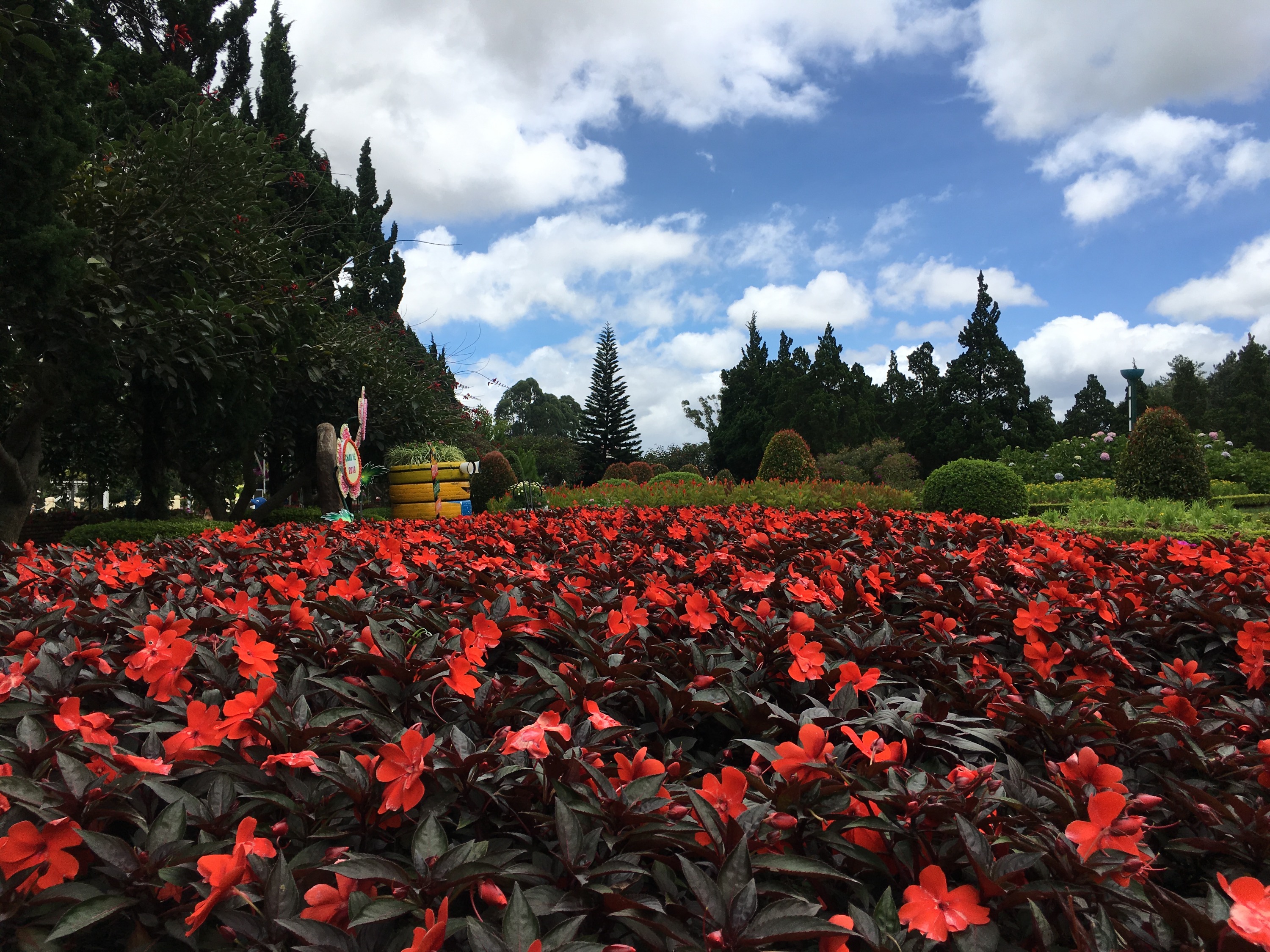 【穆斯林友善】美奈 - 潘切 - 大叻多日游