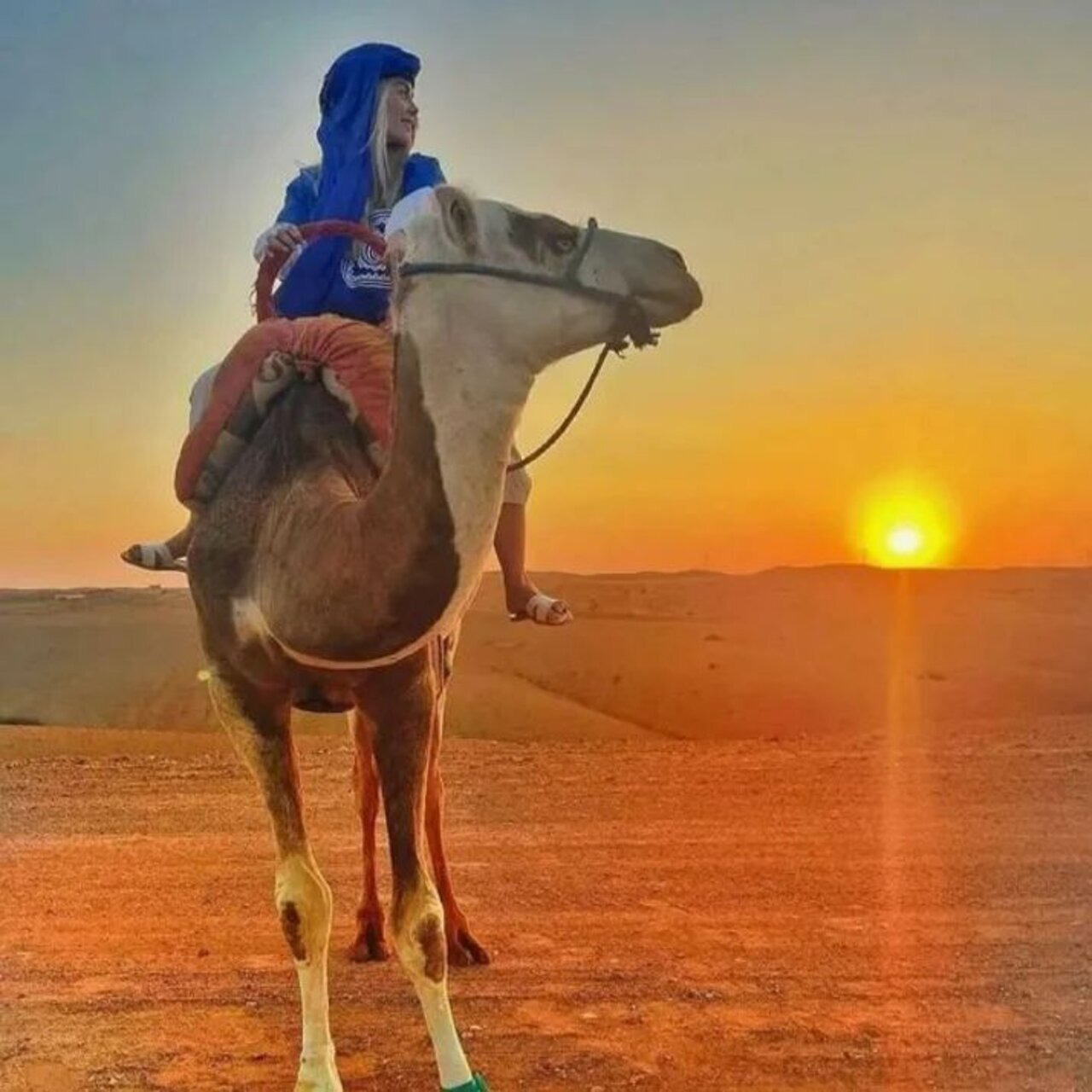 马拉喀什：四轮车、日落骑骆驼 & 浪漫晚餐秀