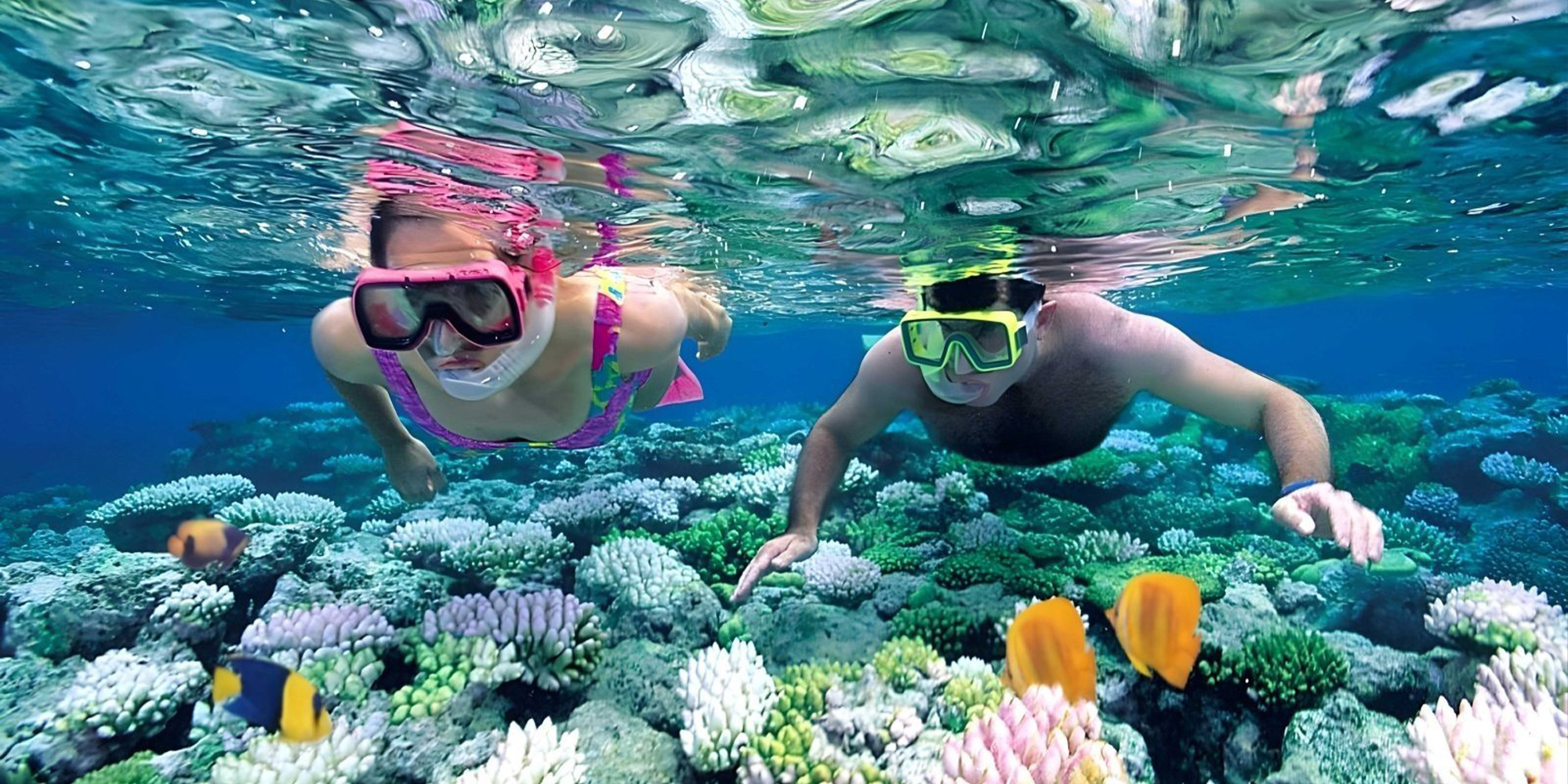 佩尼达岛浮潜体验（4 个浮潜点）