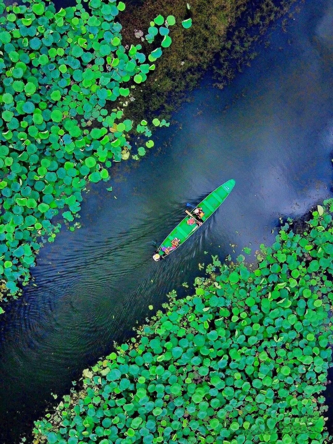 云南流光滇东南高奢5日（全程臻选度假酒店+抚仙湖希尔顿酒店+建水古城City-walk+非遗手作+米轨小火车+元阳坝达梯田）