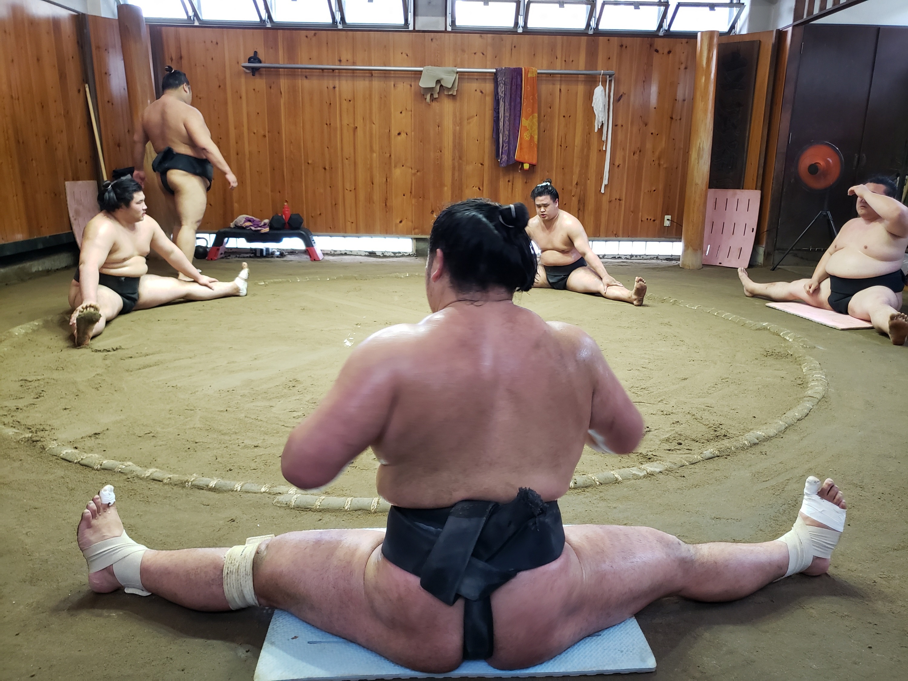 相扑部屋晨间训练观赏体验（含语音导览）