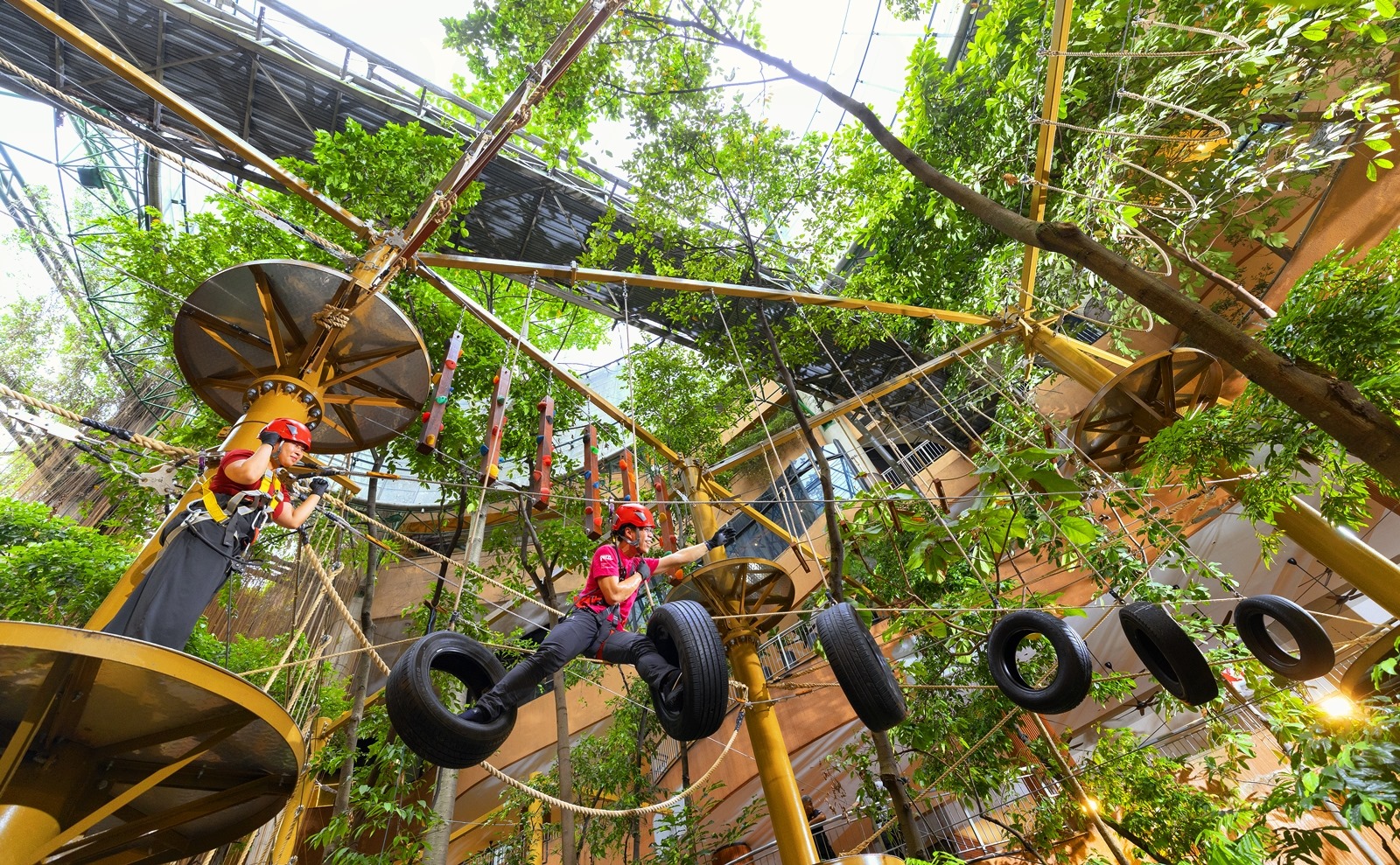 1 Utama购物中心热带雨林树顶探险门票