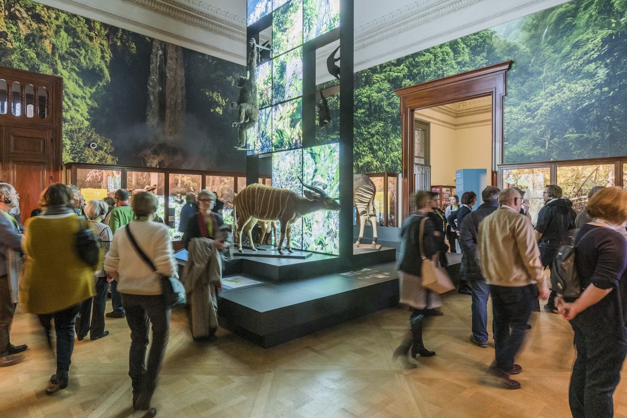 特尔维伦中央非洲皇家博物馆门票