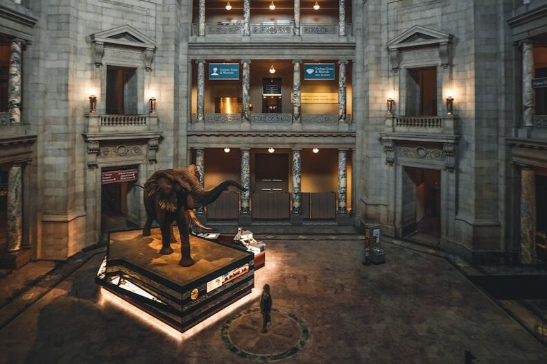 史密森尼国家自然历史博物馆参观