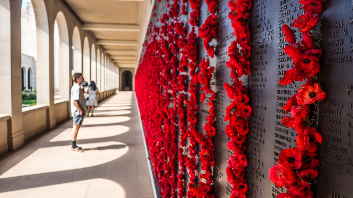 堪培拉彩色巴士一日游