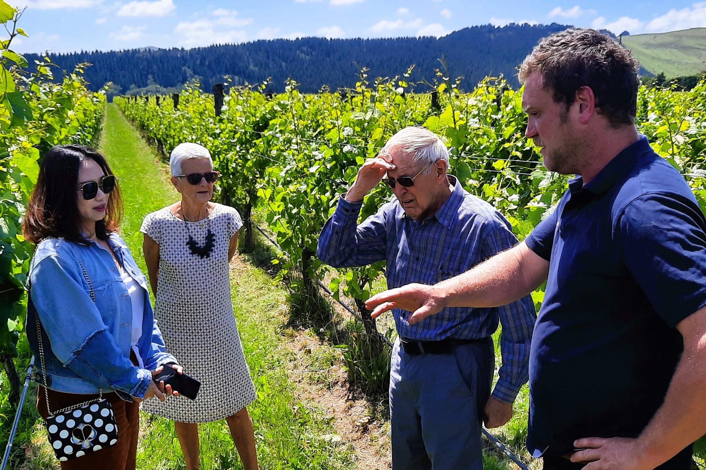 马丁堡酒庄 & 美食一日游