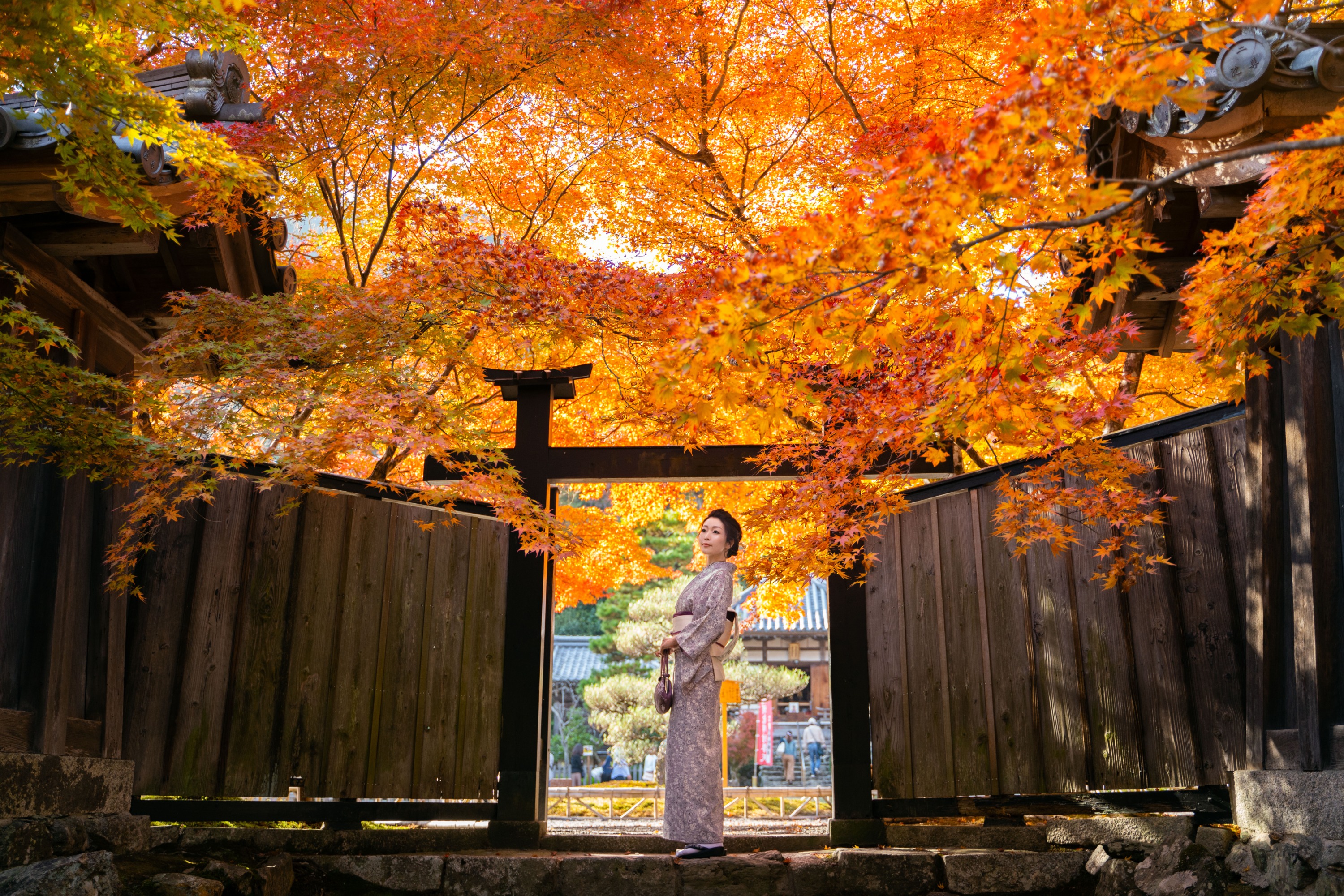京都和服租赁体验（京岚和服出租提供）