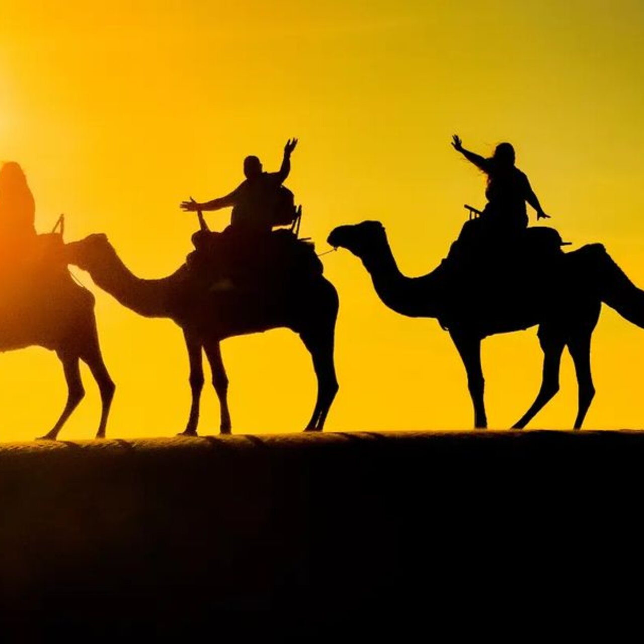 马拉喀什：传统摩洛哥料理课程 + 市集参观