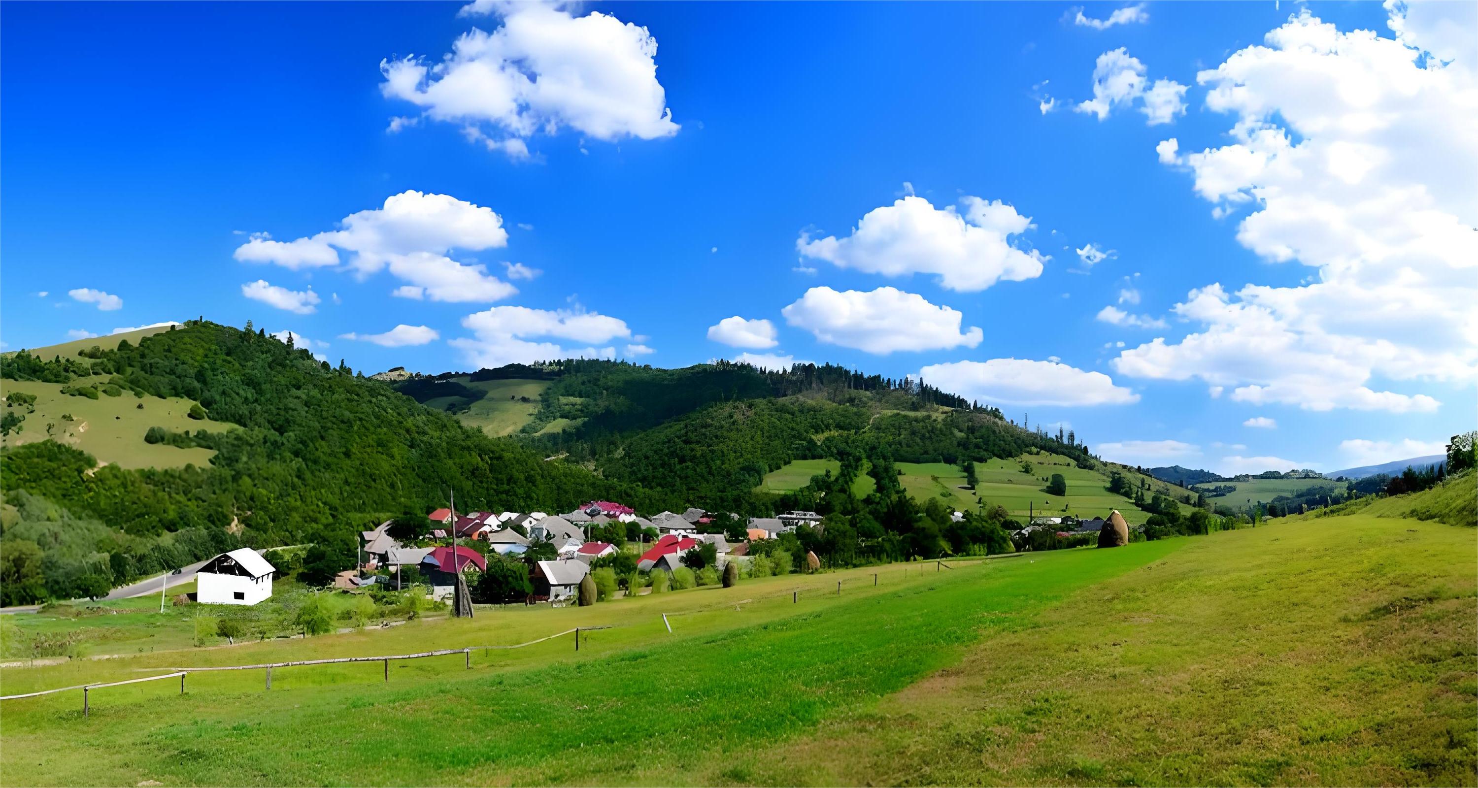 重庆武隆仙女山国家森林公园私人导览一日游 （重庆出发）