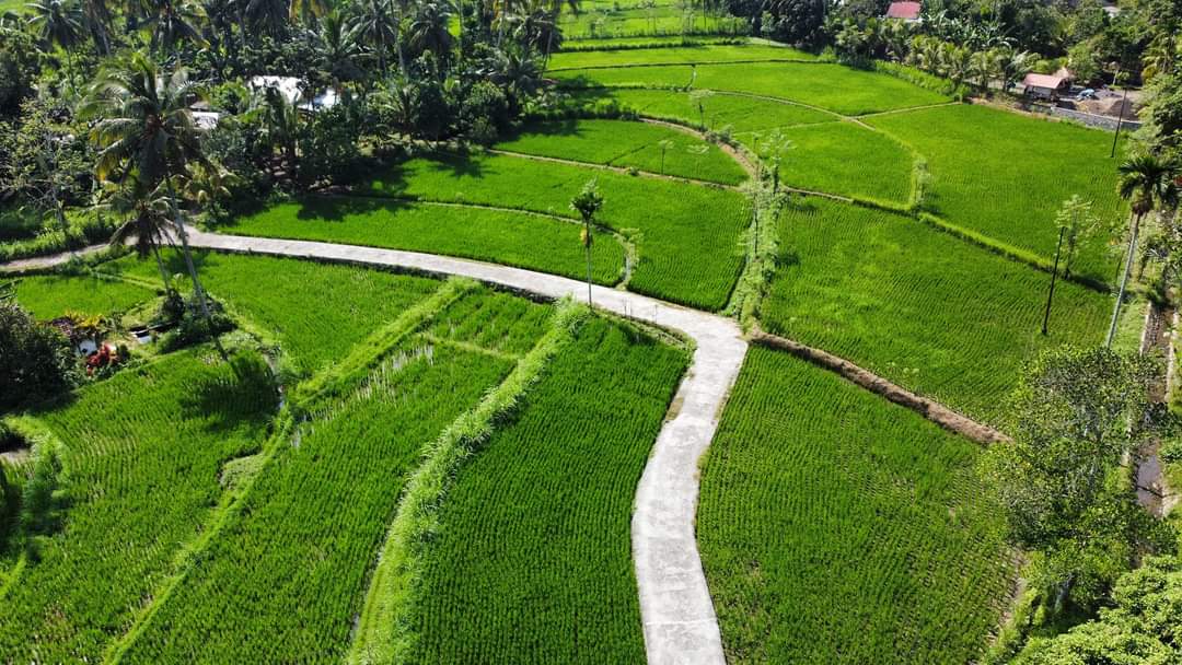 龙目岛当地村庄游 & 工作坊（多语导游）