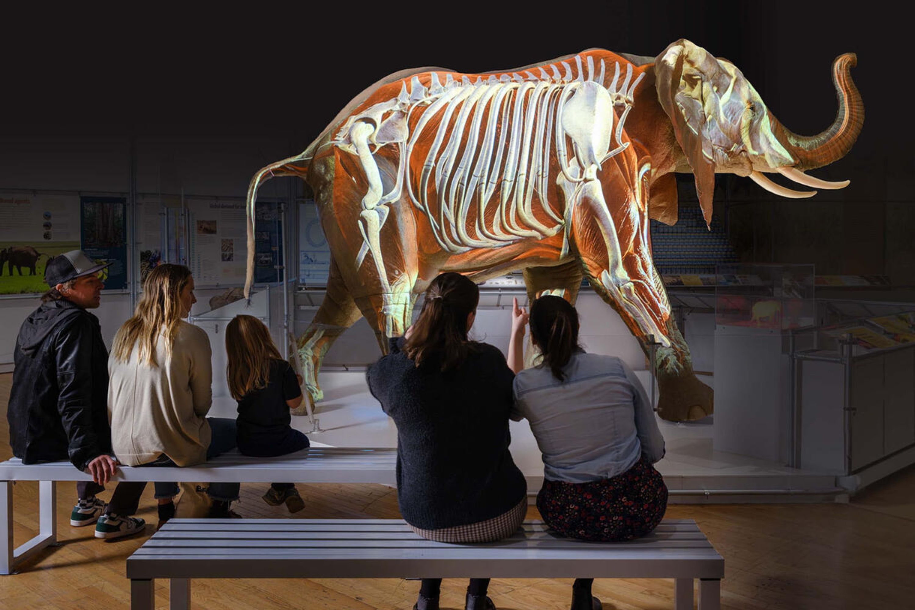 美国自然历史博物馆 (American Museum of Natural History) 门票