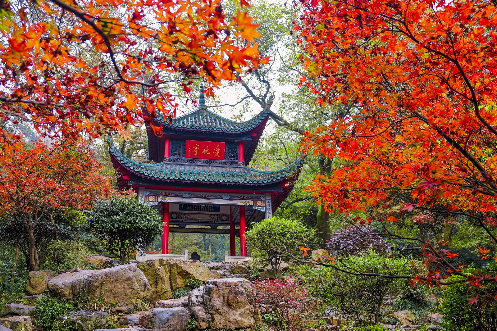 长沙市区一日游（橘子洲头，岳麓书院，坡子街美食）