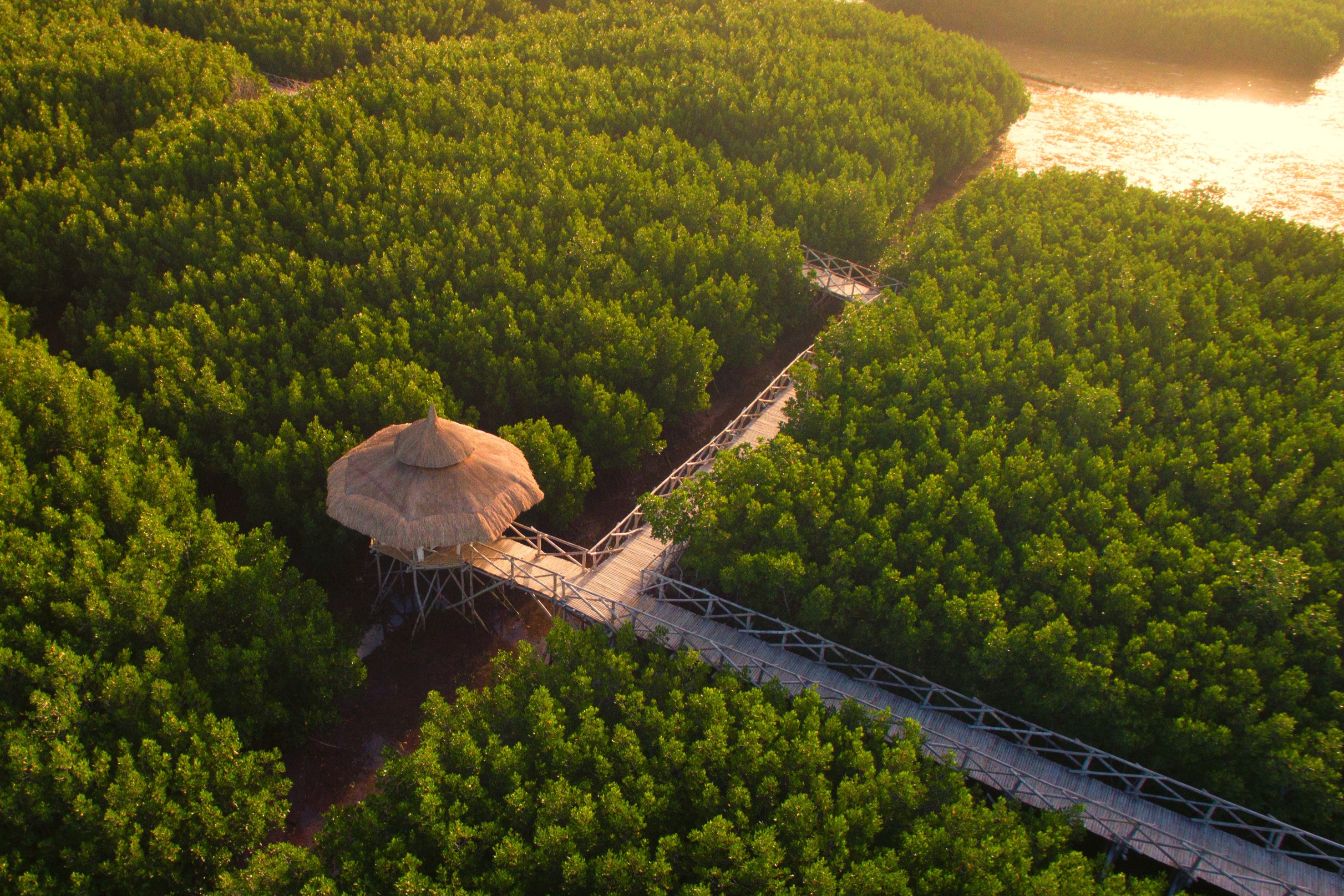 Southwest Tours薄荷岛日落之旅