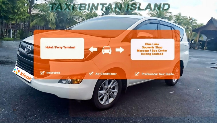 民丹岛包车服务（含司机） by Taxi Bintan Island