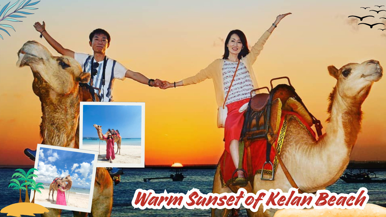 巴厘岛骆驼骑行体验