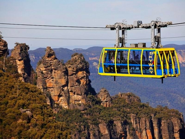 蓝山全日游（含费瑟代尔野生动物园）