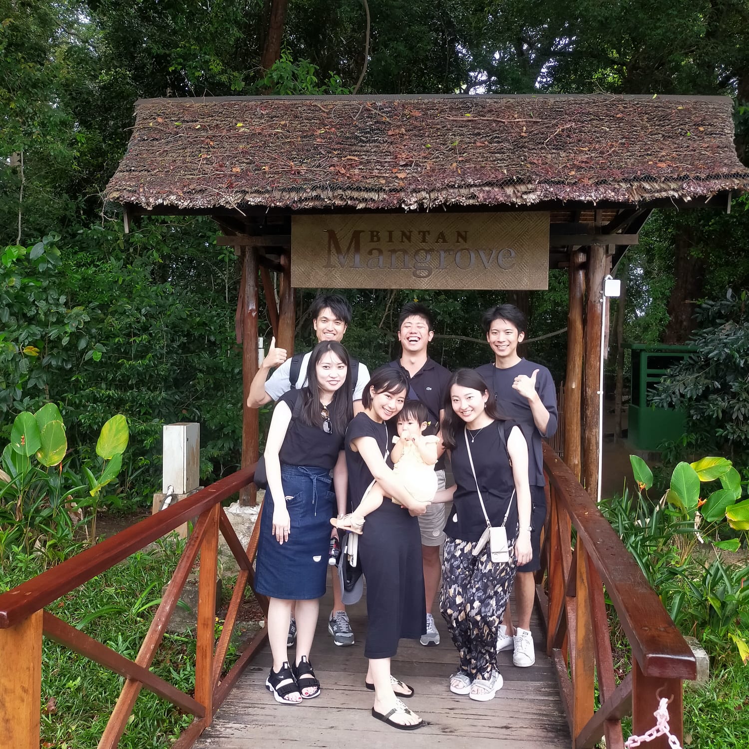 民丹岛红树林之旅（民丹岛出租车）