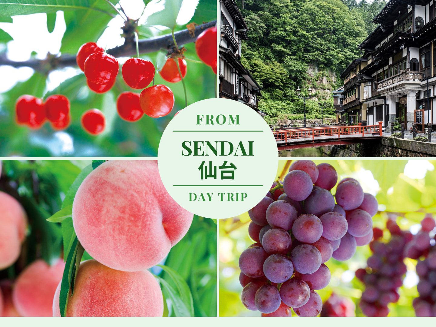 山形县摘水果体验＆银山温泉一日游（仙台出发）