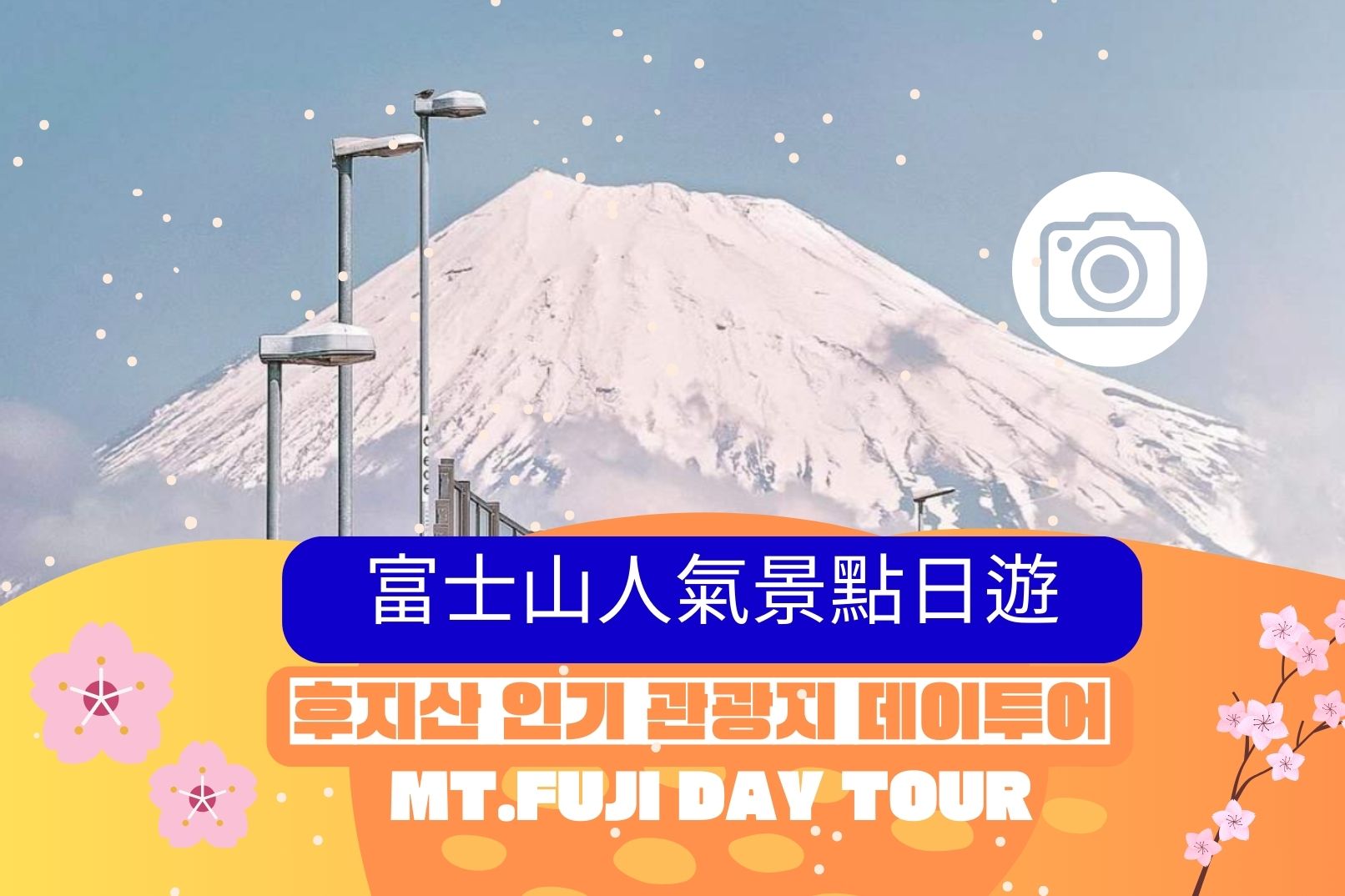 【富士山必游+人气打卡景点】赏花购物网红景点一日游（韩文&中文导游  东京站或新宿站出发）