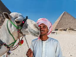 5天开罗短途游（含住宿）