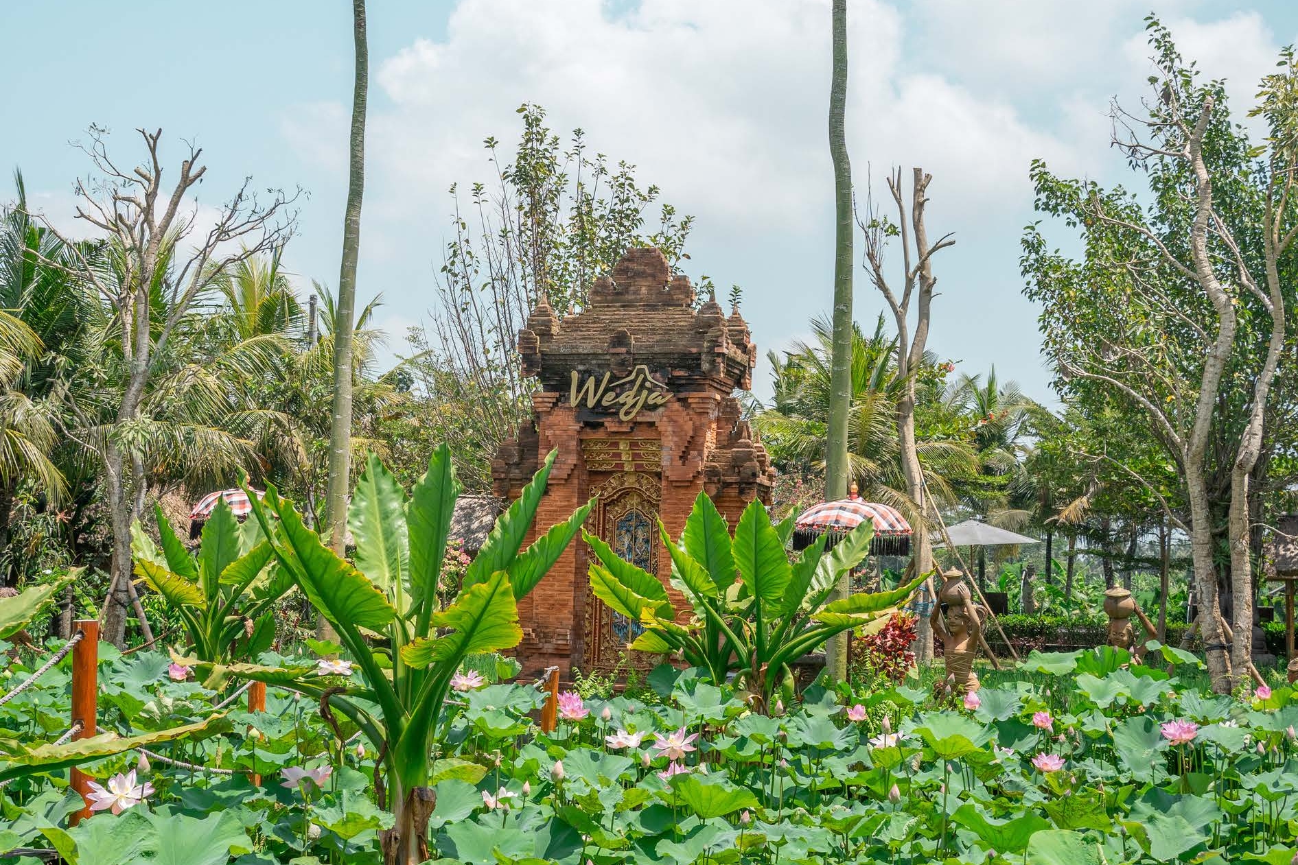 巴厘岛乌布Wedja餐厅用餐券