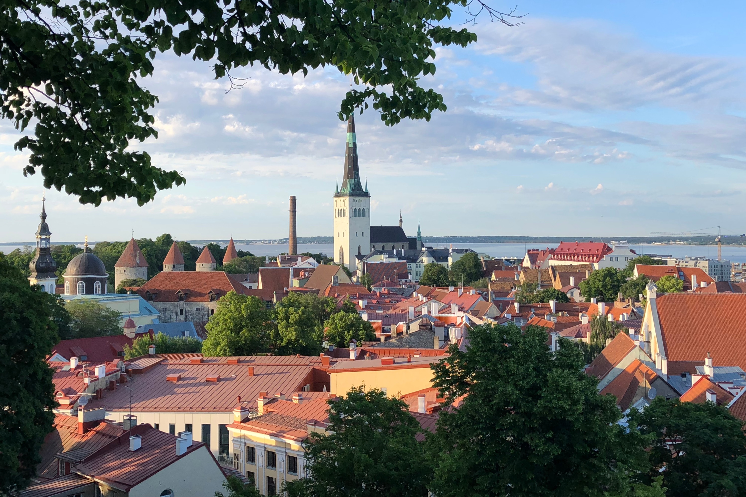 塔林亮点岸上观光行程（含往返接送）