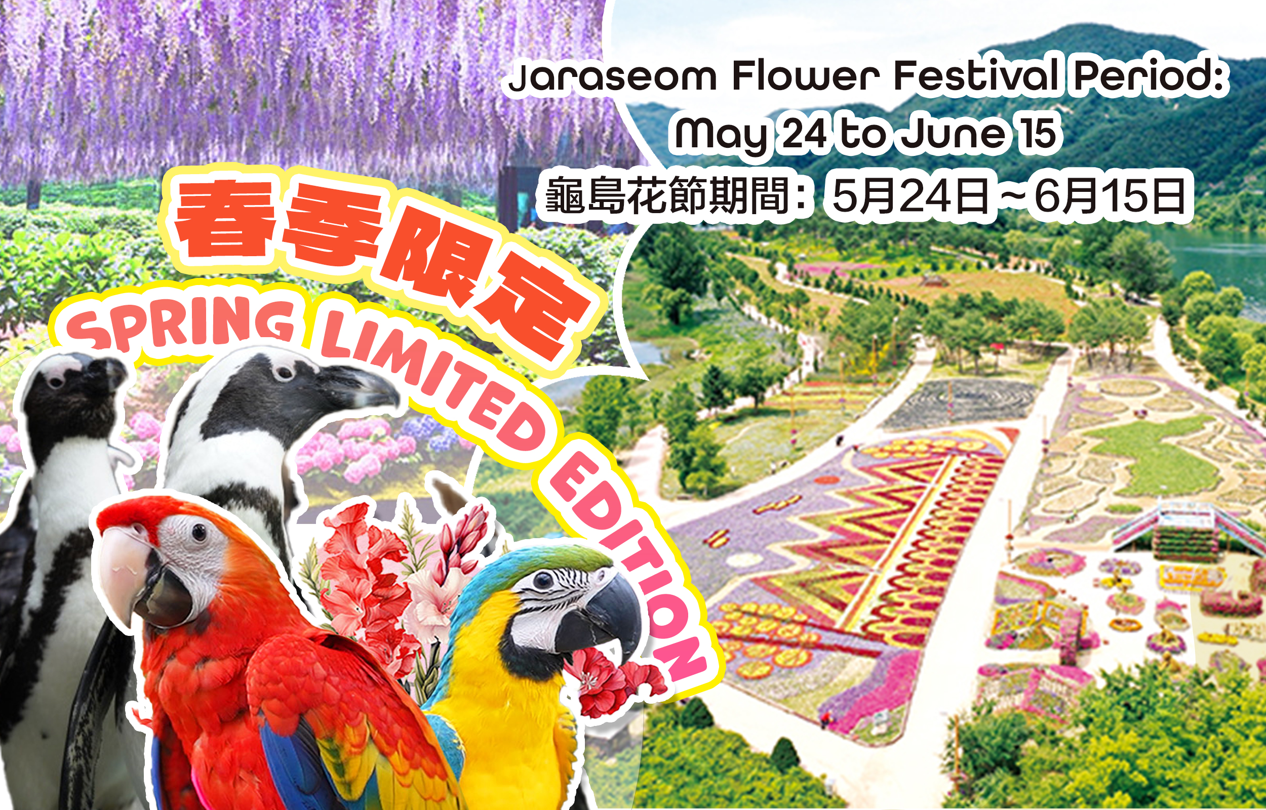 Jaraseom花卉节 - 秋海棠鸟园一日游