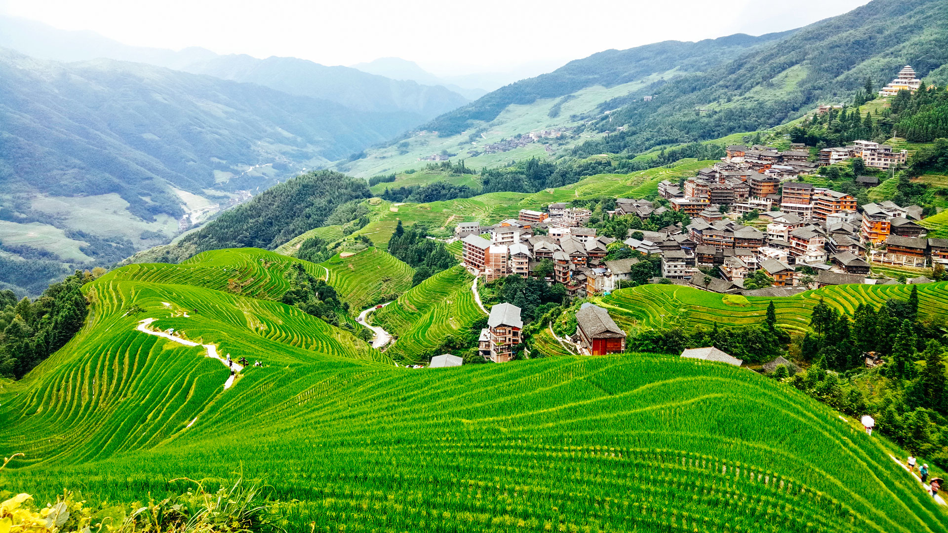 桂林龙脊平安梯田1日游览私家团