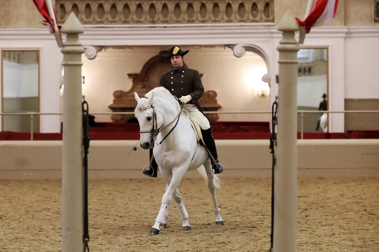 维也纳西班牙骑术学校利比扎马术表演门票