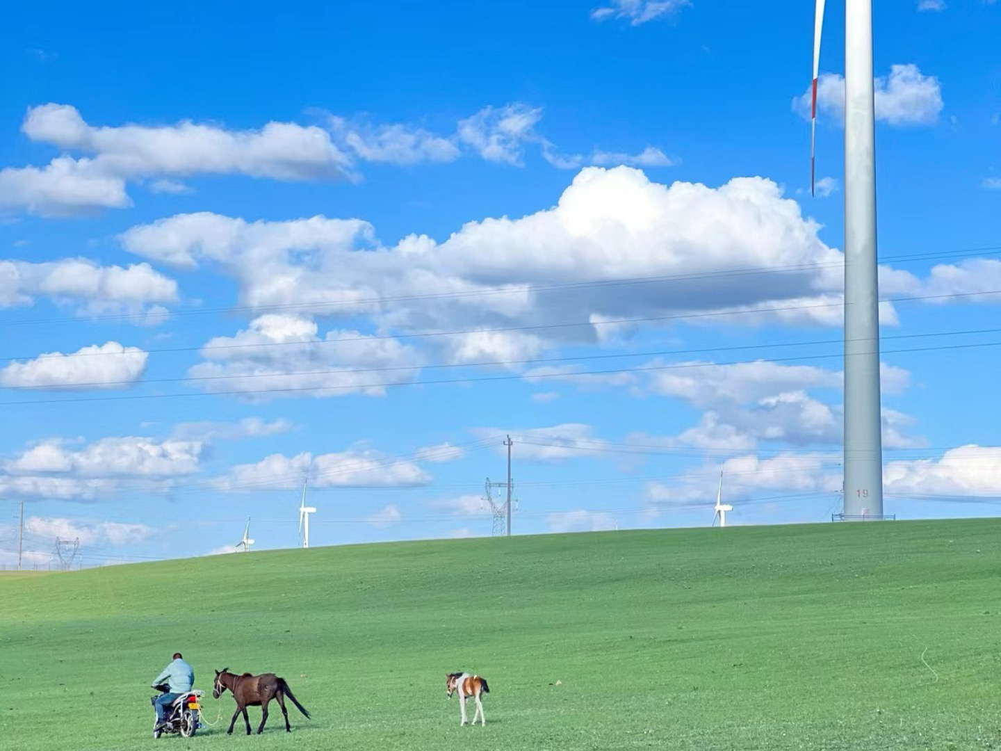 内蒙呼和浩特沙海奇遇记6日（宇航服拍照+射箭+篝火晚会+乌兰哈达火山+响沙湾仙沙悦沙双岛+成吉思汗陵+内蒙古博物院+哈素海环湖）