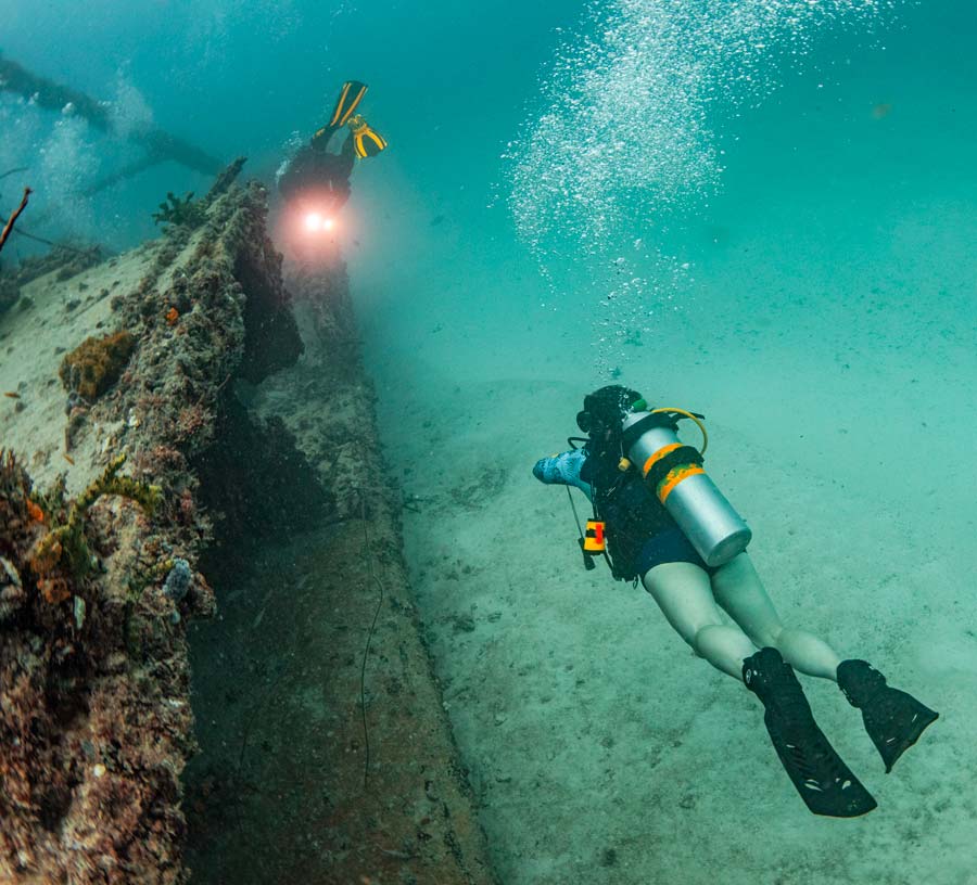探索更多：PADI 比斯坎湾高氧课程 5* 潜水中心