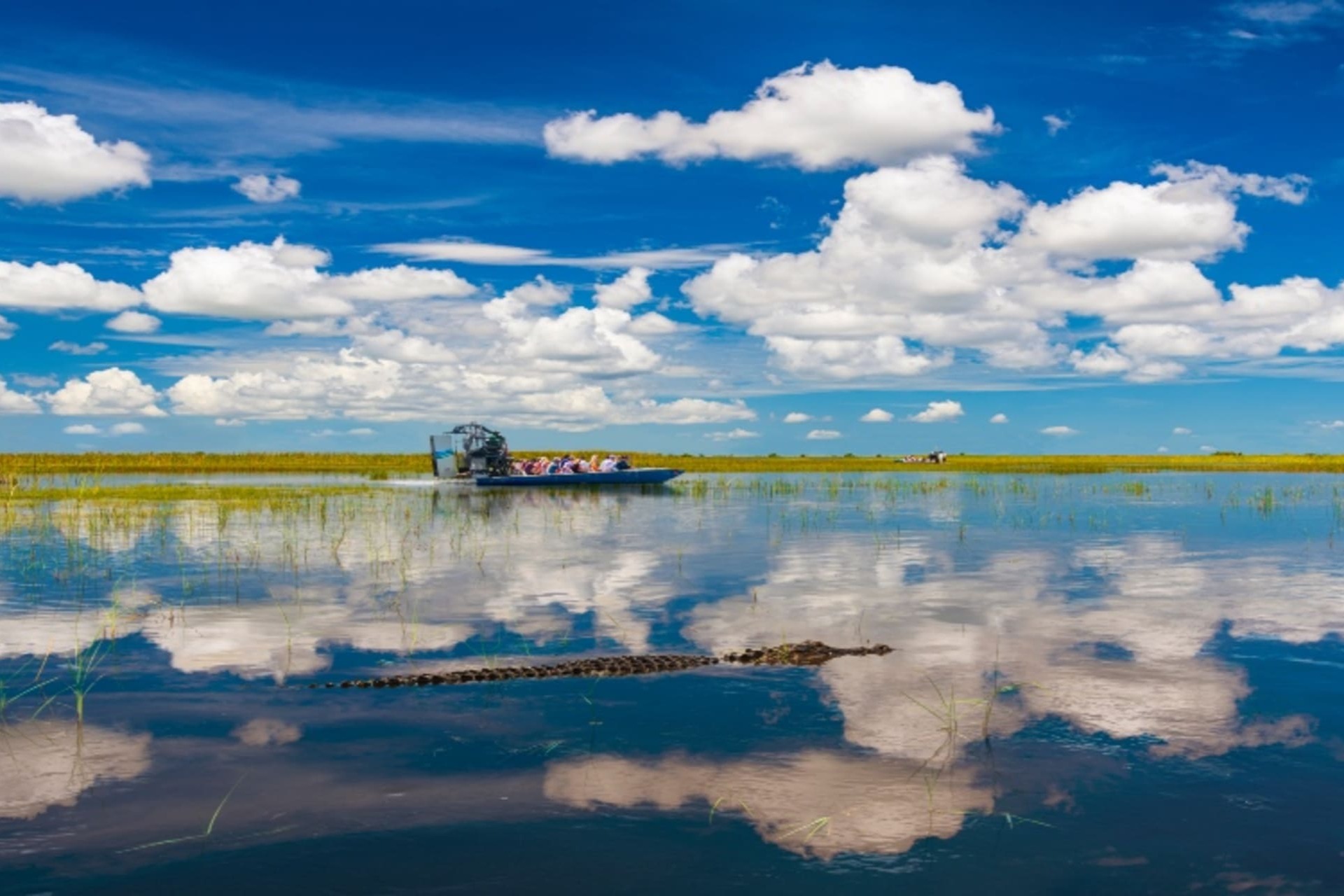 劳德代尔堡出发的大沼泽地野生动物园之旅