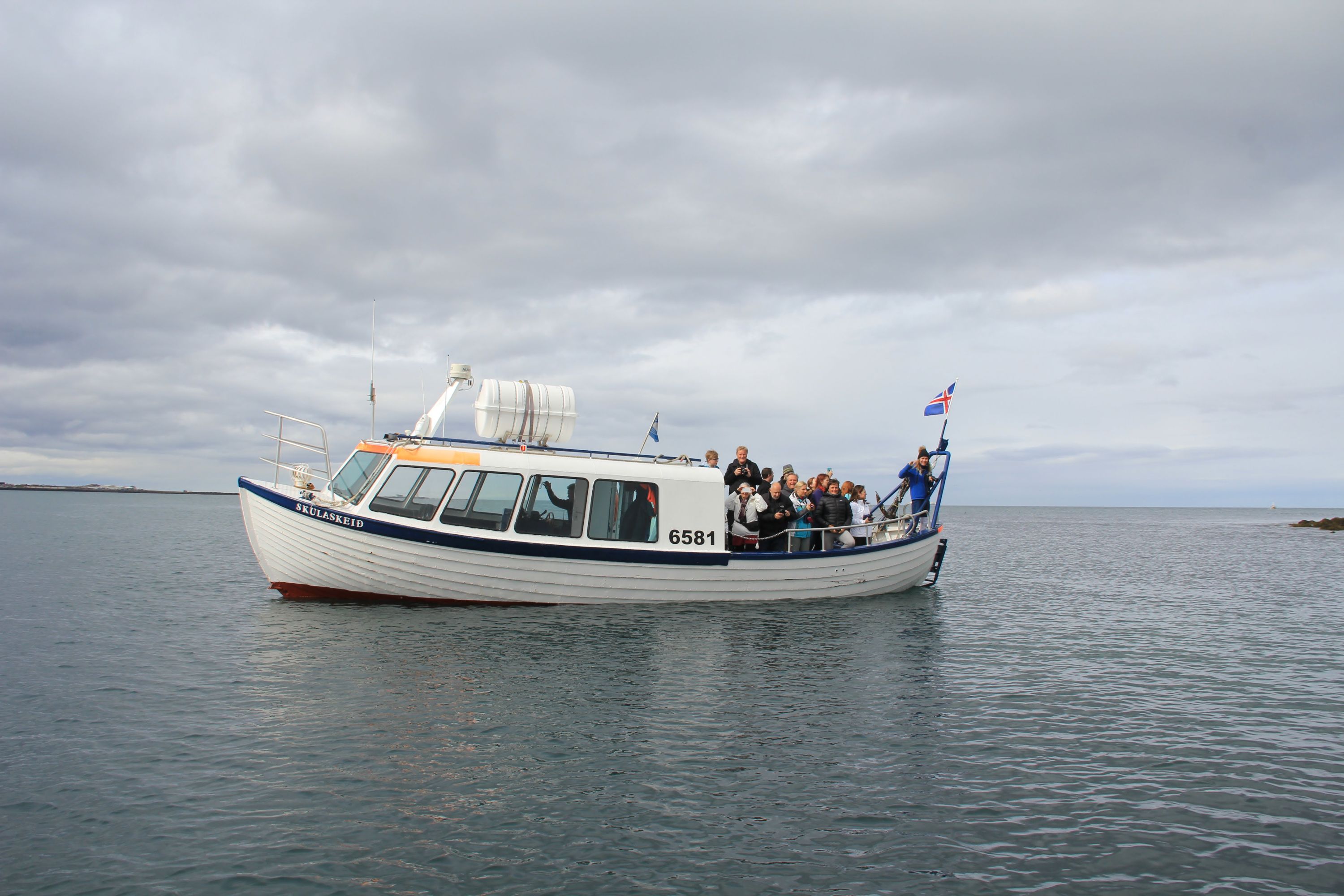 雷克雅未克海鹦快船之旅