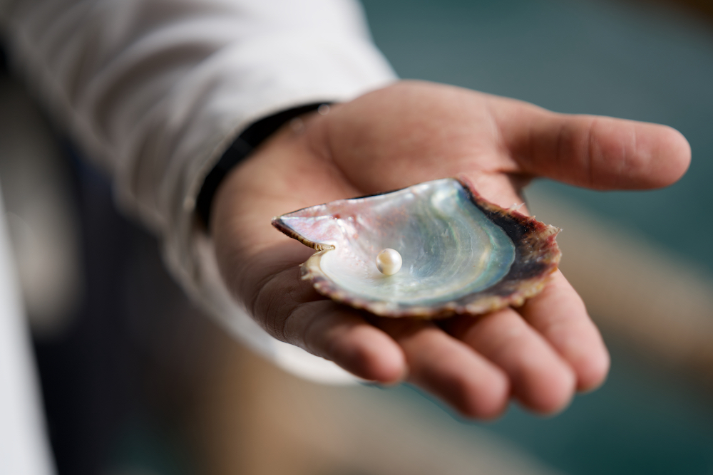 哈伊马角苏瓦迪珍珠农场