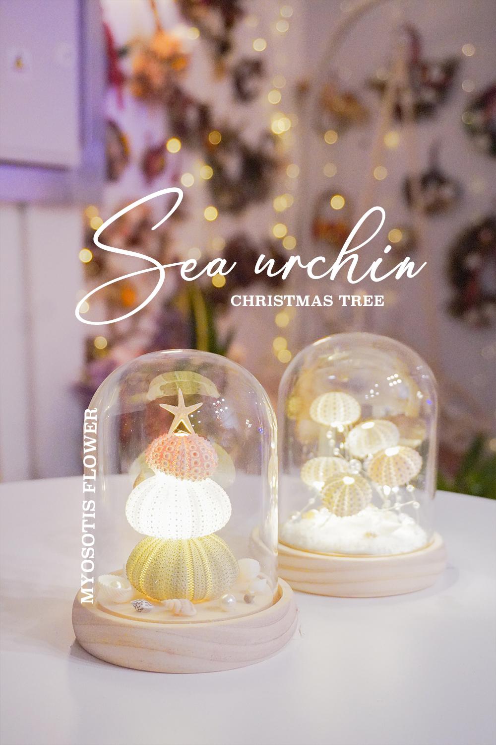 海胆玻璃罩工作坊