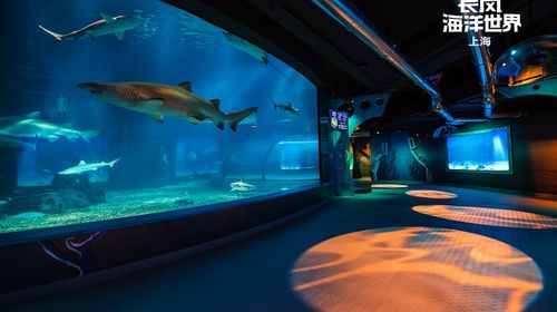 上海长风海洋世界游玩套餐