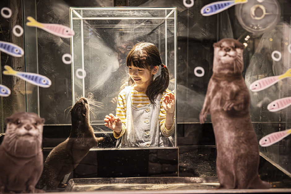 庆州Zoolung Zoolung室内动物主题公园门票