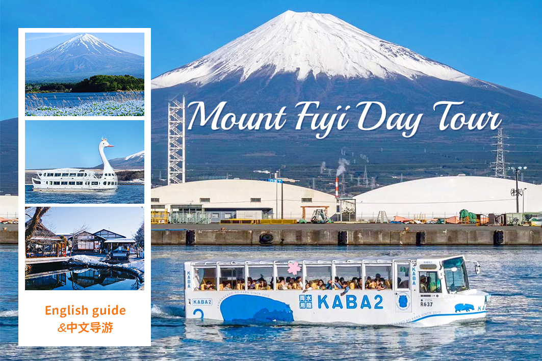 富士山双湖人气游船打卡一日游｜河口湖大石公园&忍野八海&山中湖KABA BUS河马水陆两用游船（可选）&平野之浜（东京出发）