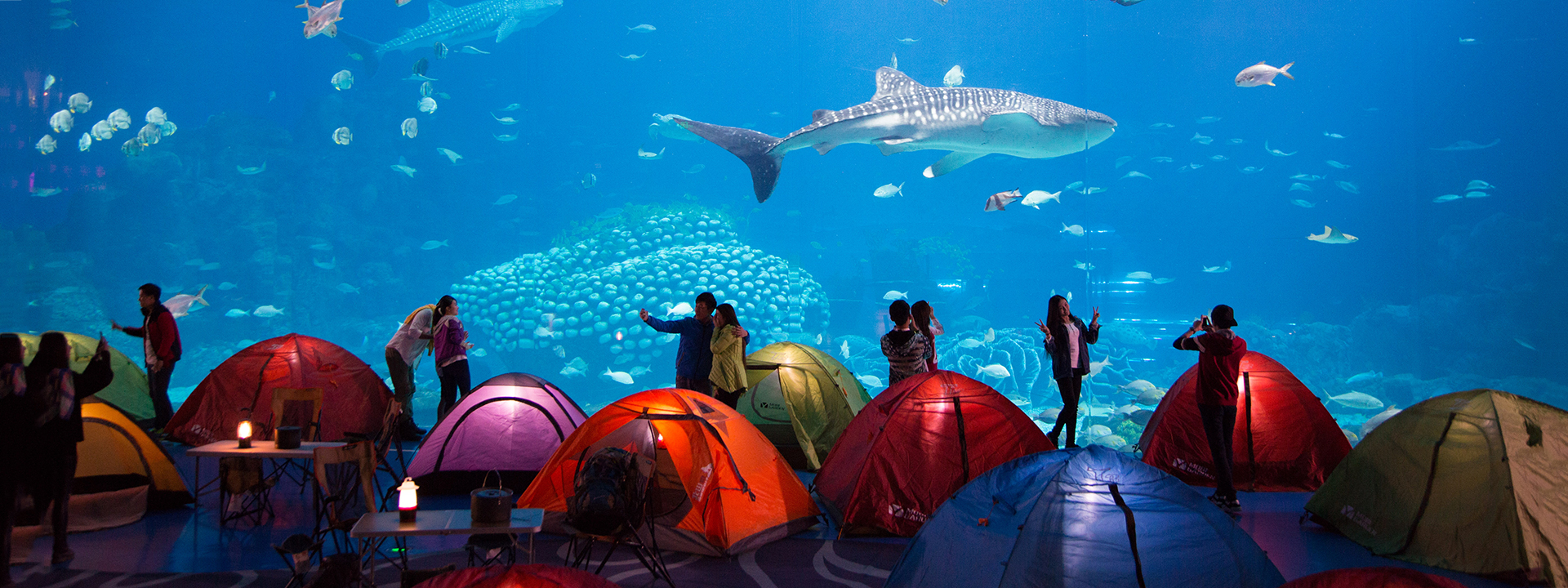 珠海长隆海洋王国 - 海洋鲸鲨馆夜宿海底双人套票