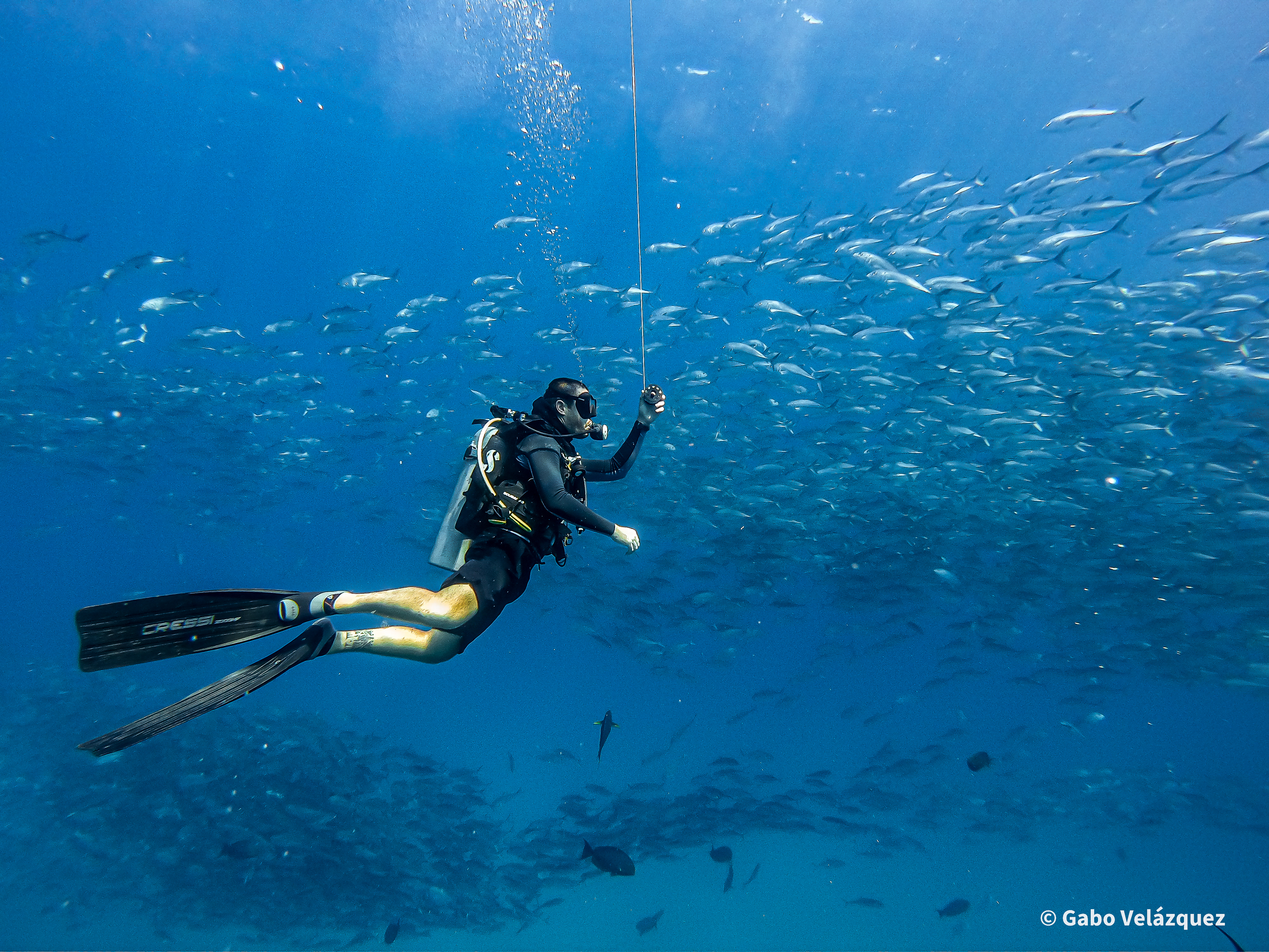 揭开水下奇观：卡波与 PADI 中心的高级课程