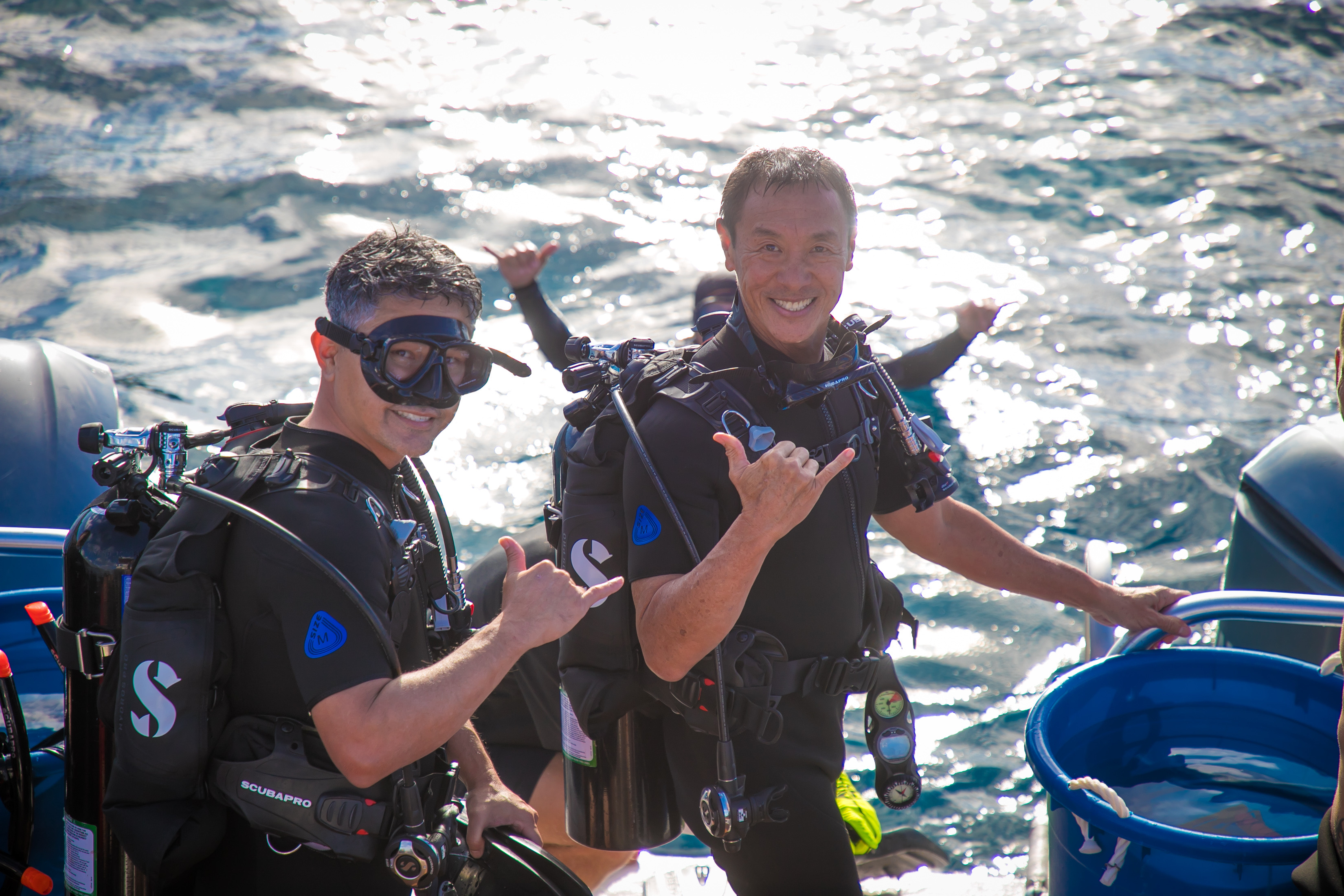 探索檀香山：与 PADI 一起进行开放水域潜水员线上学习 5* 中心