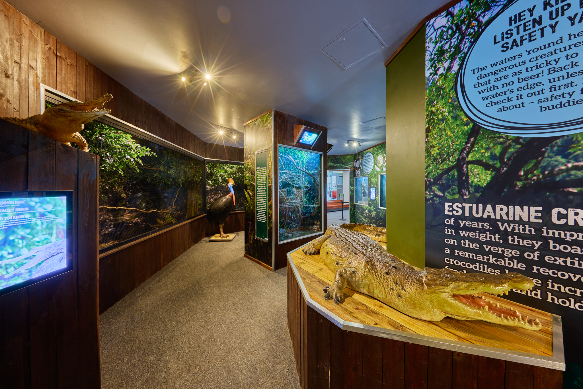 凯恩斯考拉和生物门票