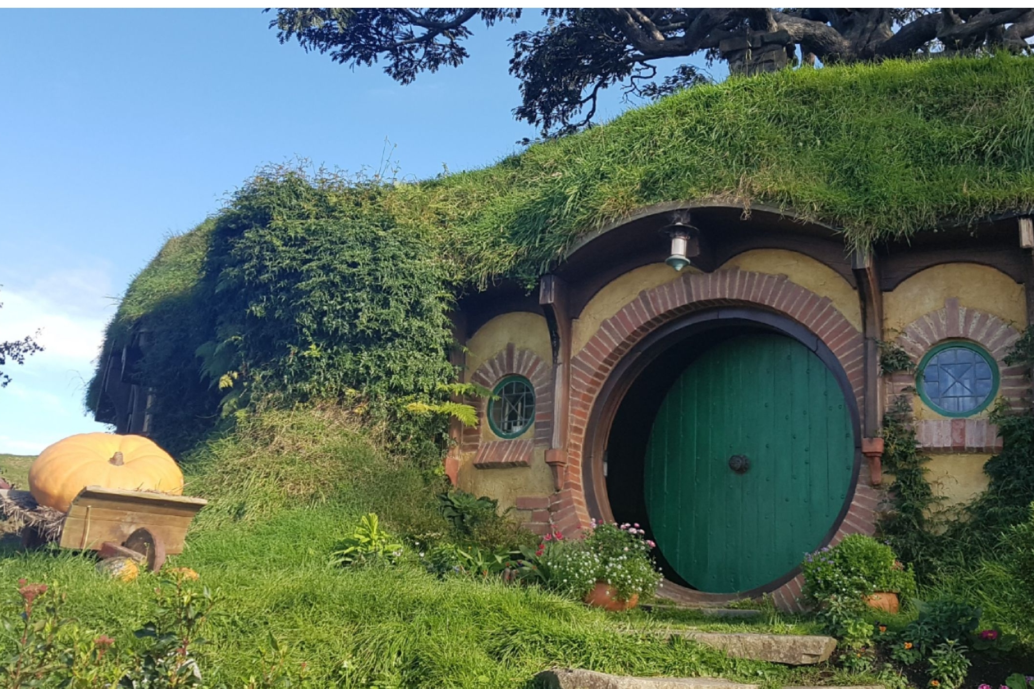 霍比屯和怀托摩洞穴奥克兰小团游