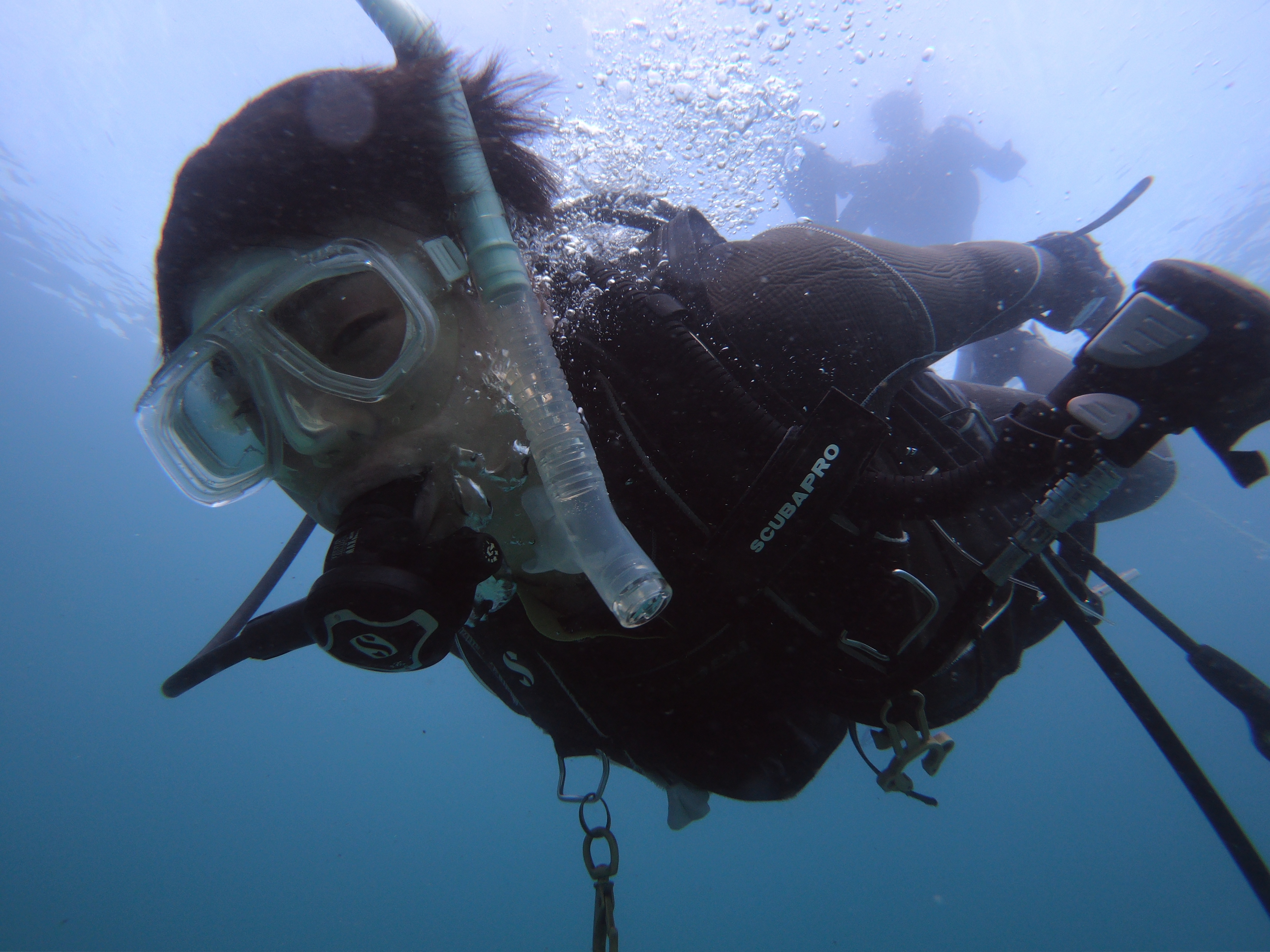 揭晓大阪海底：PADI 5* 中心的 4 天开放水域潜水员课程