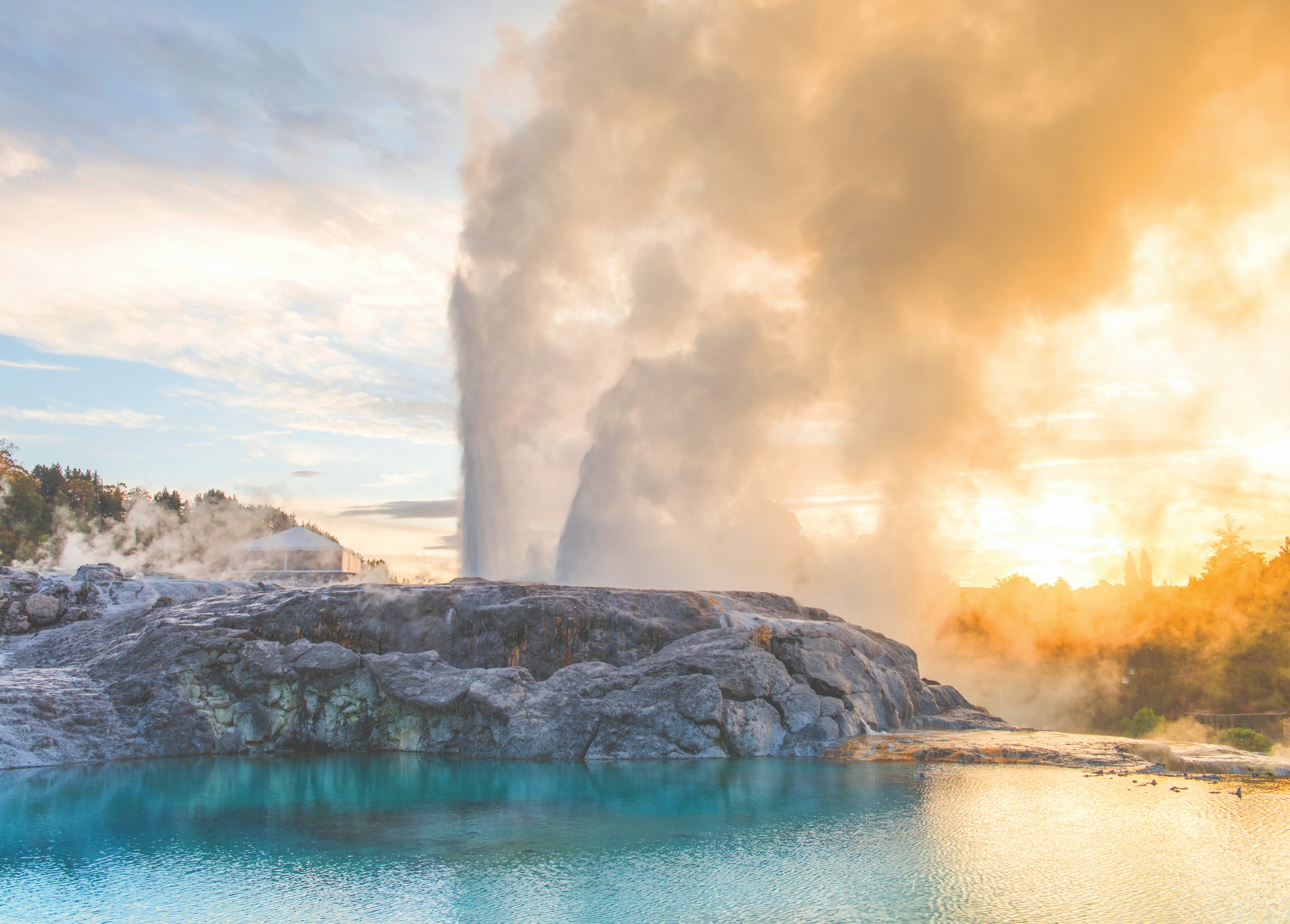 奥克兰出发蒂普亚 & 罗托鲁瓦波利尼西亚温泉