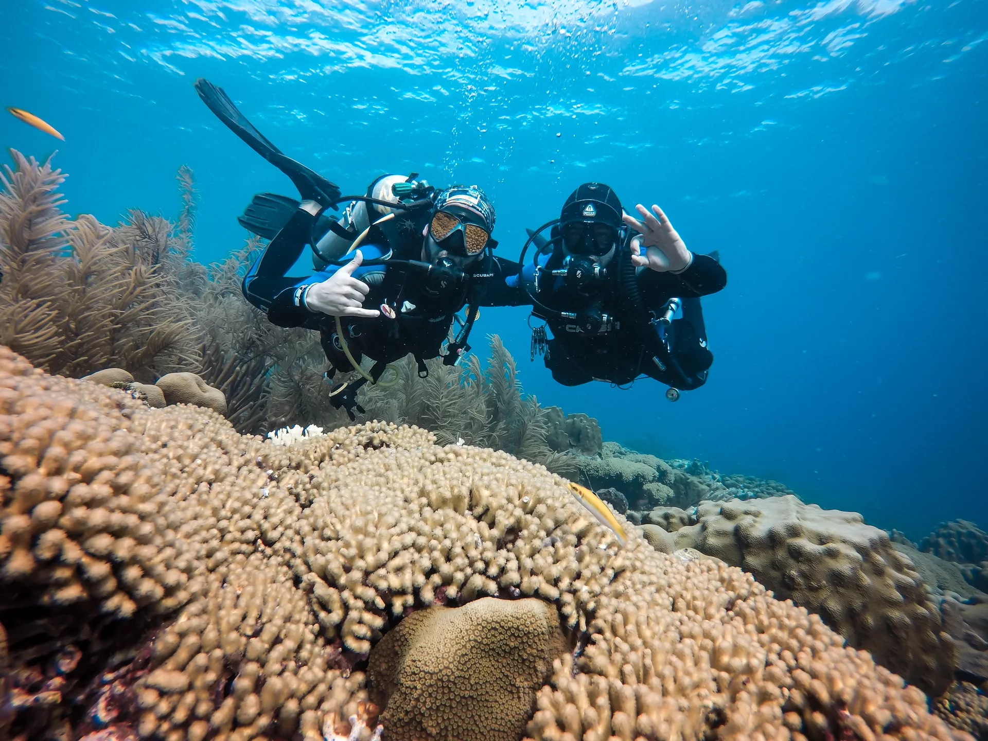 探索博内尔岛的奇观：与 PADI 中心一起探索水肺潜水